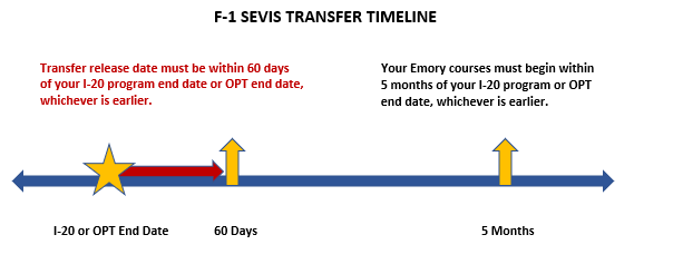 F-1 Transfer Timeline